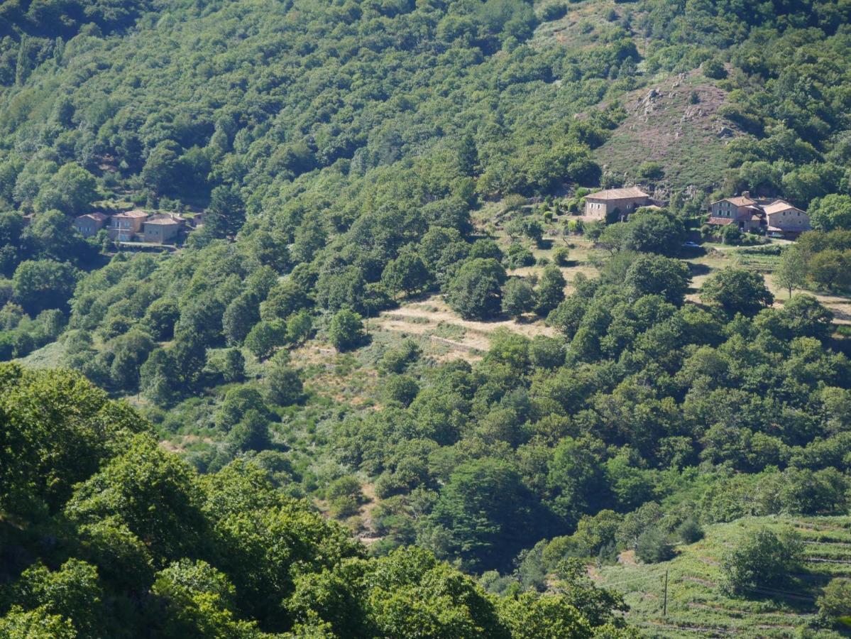 Le Temps Suspendu Saint-Pierreville Exterior foto